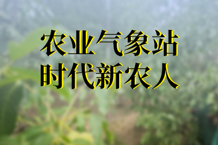 時代新農(nóng)人應怎樣配置農(nóng)業(yè)氣象站