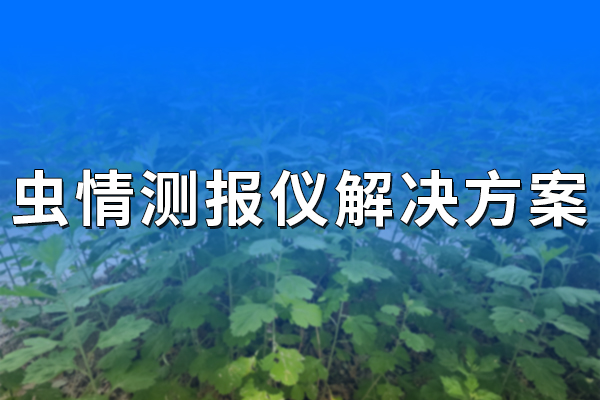 蟲情測報儀解決方案