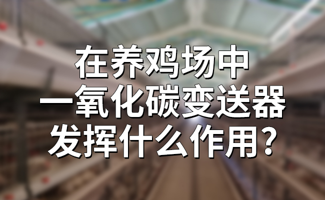 在養(yǎng)雞場中,一氧化碳變送器發(fā)揮什么作用