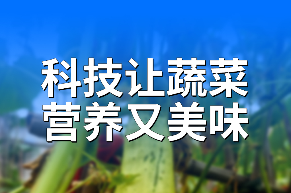 科技讓蔬菜營養(yǎng)又美味