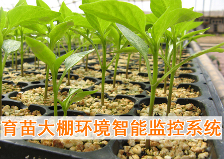 育苗大棚環(huán)境智能監(jiān)控系統(tǒng)
