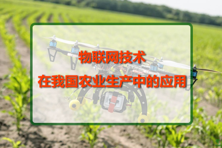 物聯(lián)網(wǎng)技術(shù)在我國農(nóng)業(yè)生產(chǎn)中的應(yīng)用