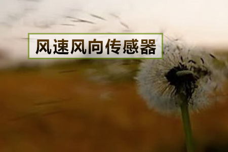 監(jiān)測風速風向的傳感器有哪幾類