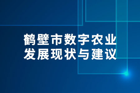 數(shù)字農(nóng)業(yè)
