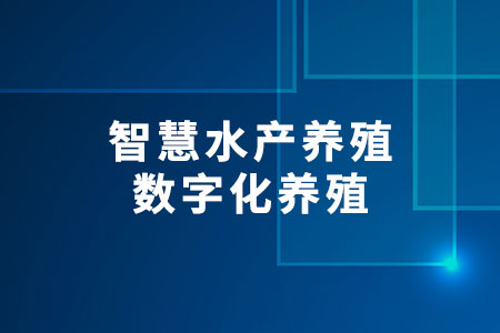 智慧水產(chǎn)養(yǎng)殖