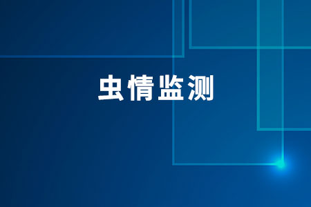 蟲(chóng)情監(jiān)測(cè)